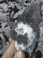 /album/terreno/cam00481-jpg/