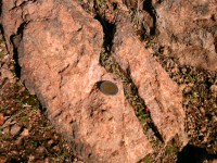 /album/terreno/ptdc0171-jpg/