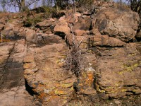 /album/terreno/ptdc0189-jpg/