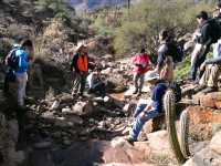 /album/terreno/ptdc0200-jpg/