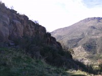 /album/terreno/ptdc0208-jpg/